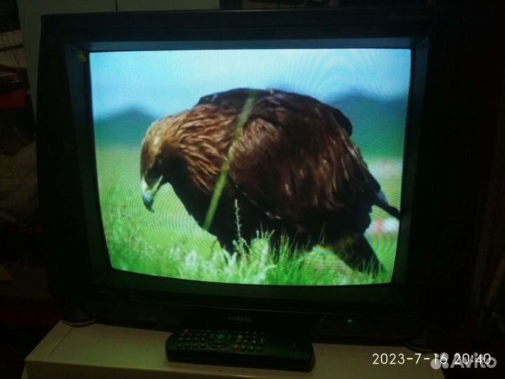 Телевизор Витязь дачный вариант