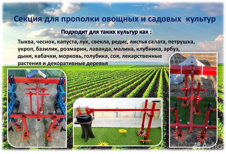 Секция для прополки капусты, свеклы, тыквы, овощей