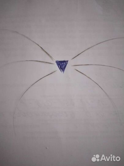 Усы,вибрисы сиамского кота