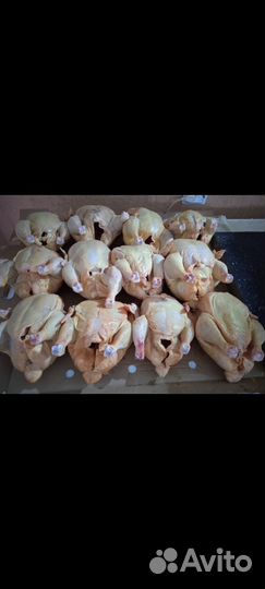 Бройлер, грудка, окорочка, крылья, бедро, голень