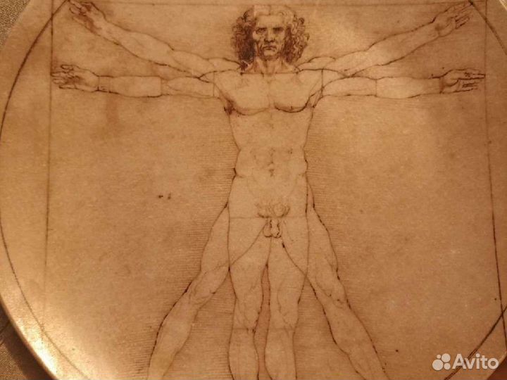 Тарелка Леонардо Да Винчи Витрувианский человек