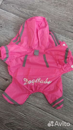 Одежда для собак мелких пород