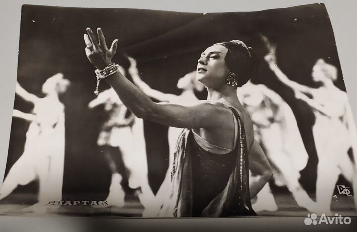 Набор ретро фотографий Синяя птица и Спартак