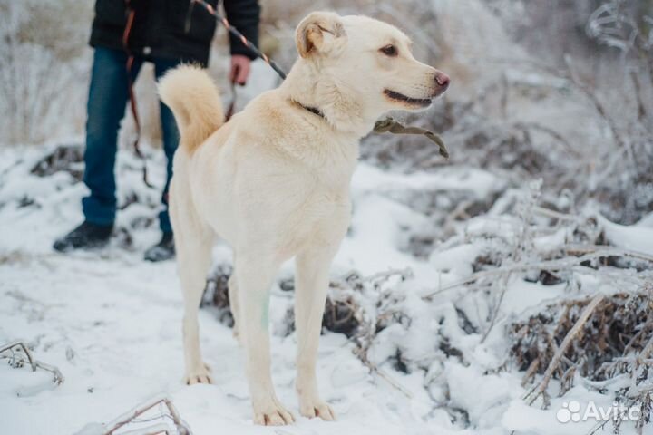 Белуччи хочет найти мам пап