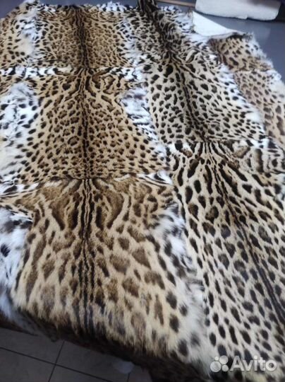 Пластина оцелота