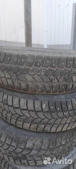 Tigar Sigura Stud 205/65 R15