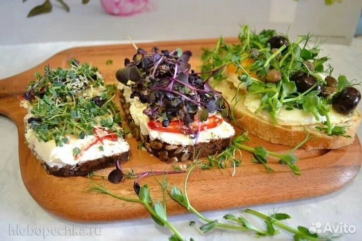 Микрозелень оптом и в розницу, проростки маша