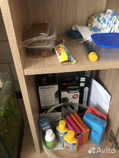 Аквариум 180л с тумбой и всем содержимым