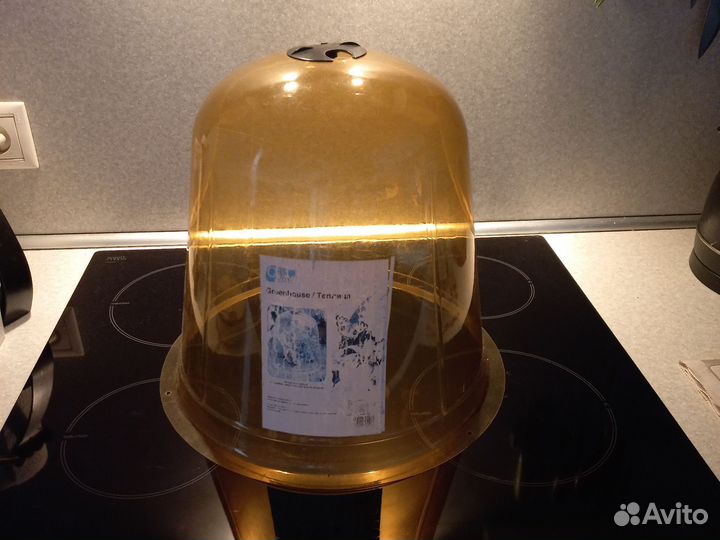 Колпак,мини теплица