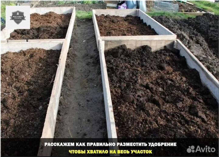 Навоз коровий