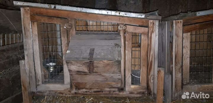 Клетки для кроликов