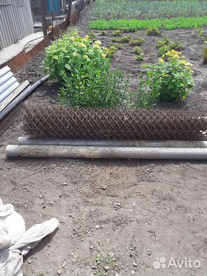 Рабица сетка