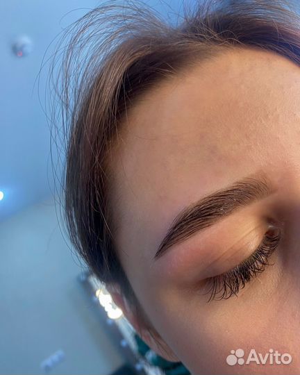 Мастер бровист