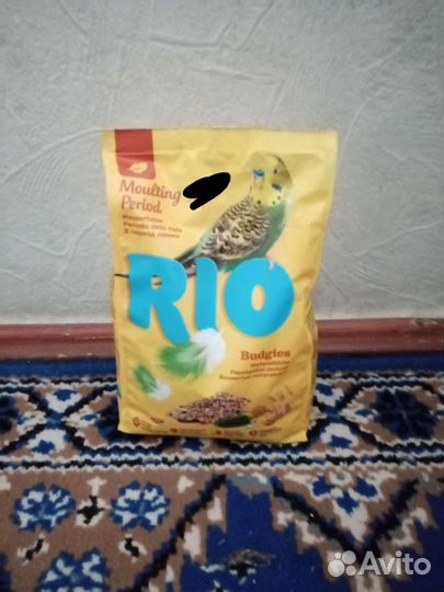 Rio-волнистые попугайчики