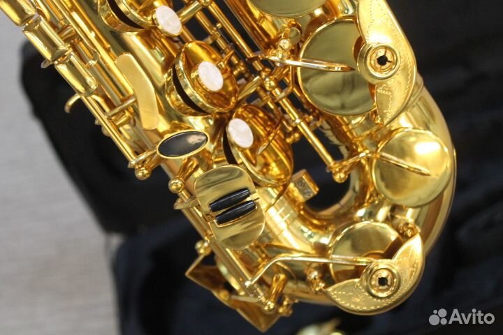 Саксофон альт Roy Benson AS-202