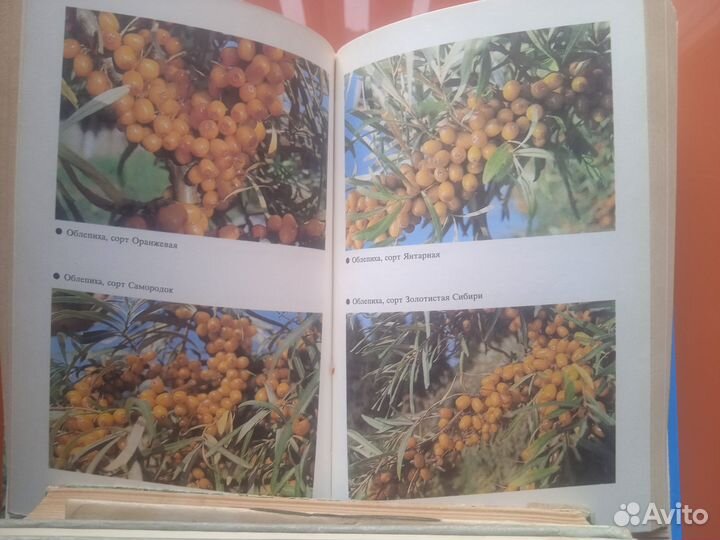 Книги для вашего сада и огорода