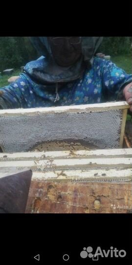 Алтайский мёд