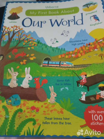 Книга на английском.Usborne.Our world