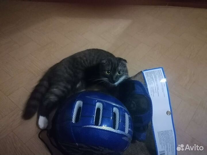 Шлем и защита для детей от 8 до 16 лет