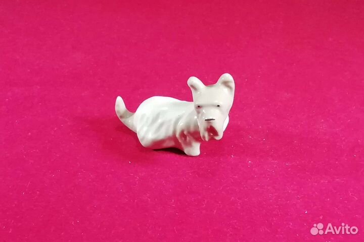 Собачка. Фарфор. лфз. 1950-е гг. 2 разные собачки