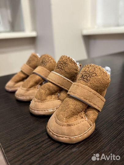 Обувь для собак