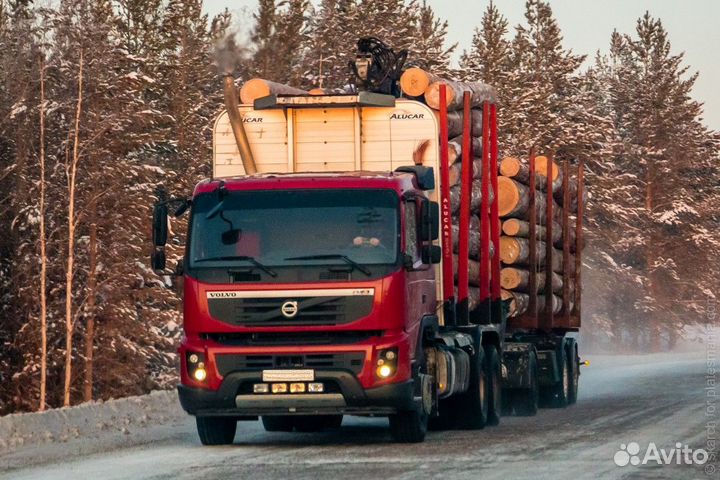 Лес кругляк пиловочник