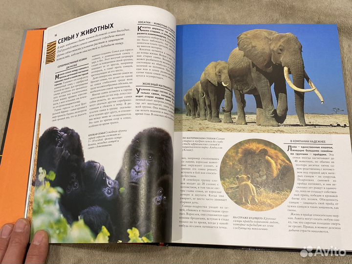 1000 чудес природы «Ридерз Дайджест»