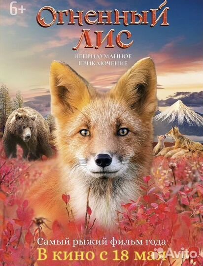 Билеты в кино (любой город)