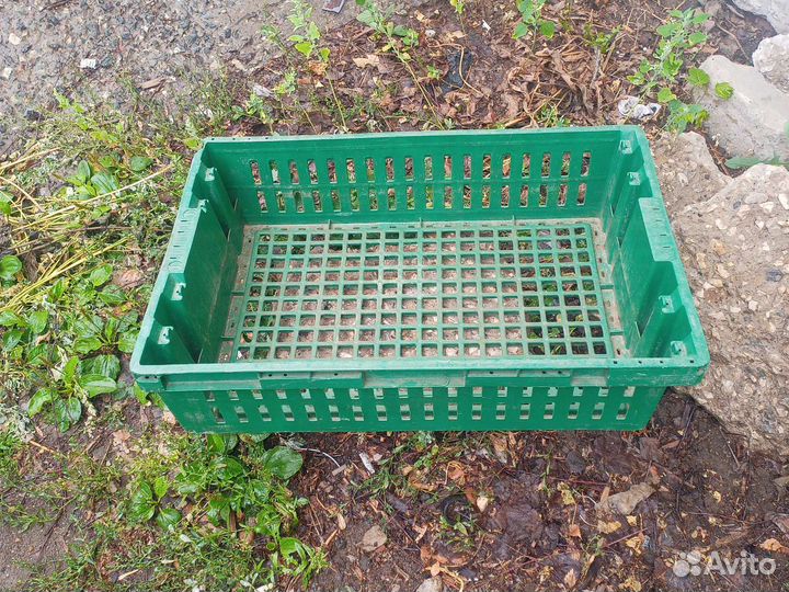 Пластиковые ящики для овощей бу