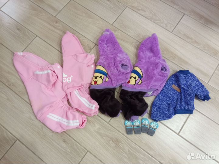 Одежда для кошек сфинкс и собак мелких пород р. М