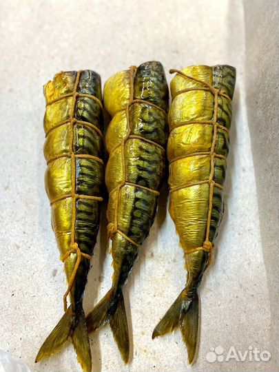 Рыба Скумбрия гор. б/г цена за кг