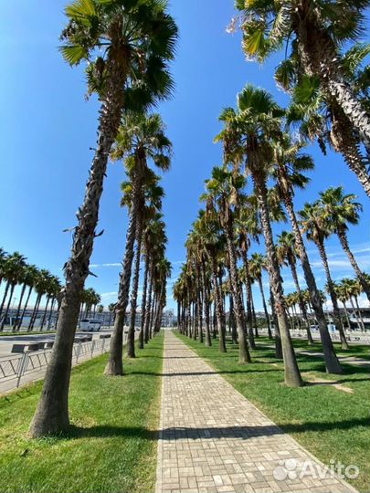 Горящий тур в Сочи