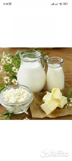 Молоко и молочная продукция