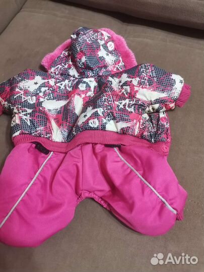 Одежда для маленьких пород собак