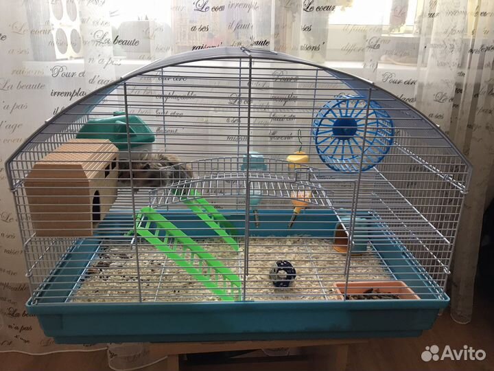 Клетка для сирийского хомяка