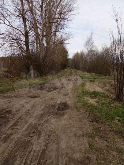 Участок 2,5 га (СНТ, ДНП)