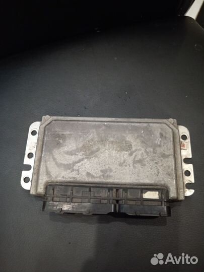 Мозги(эбу) Калина