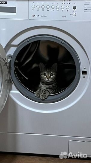 Ремонт стиральных машин на дому частный мастер