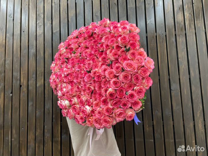 Букет из 301 голландской розы