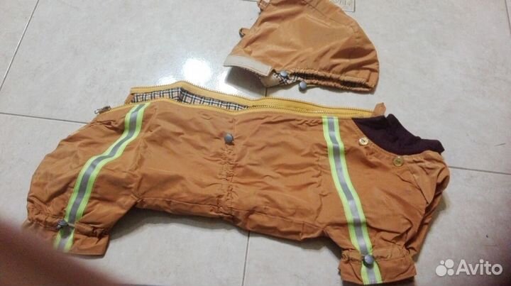 Комбинезон для таксы