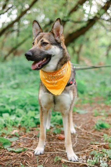 Доверчивая Умка ждёт семью