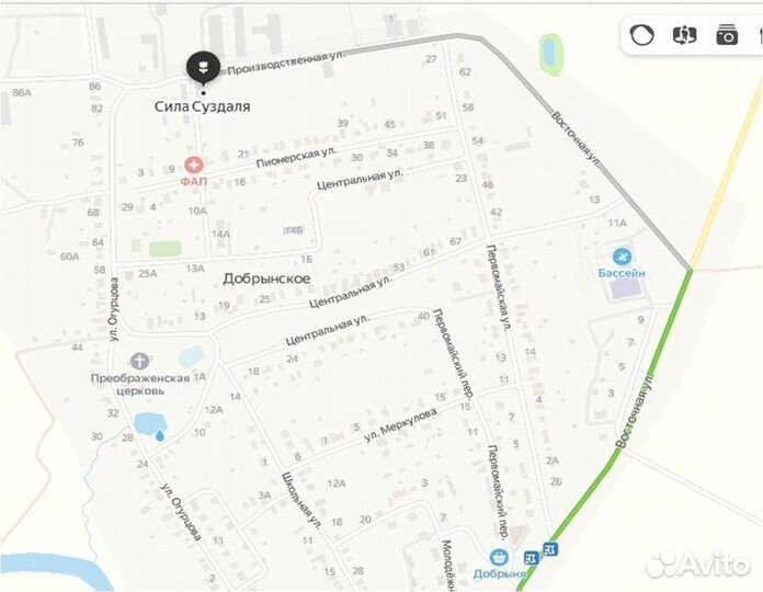 Ежа сборная / семена ежи сборной