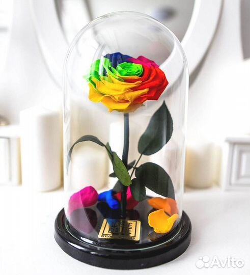 Розы в колбе разные
