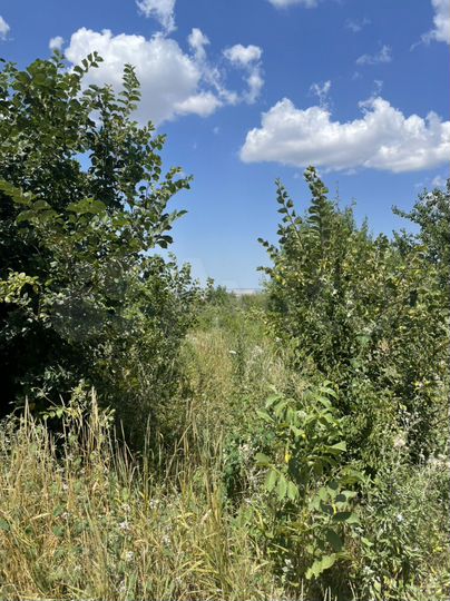 Участок 10 сот. (СНТ, ДНП)