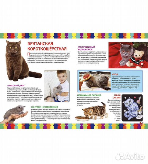 Кошки энциклопедия для детей