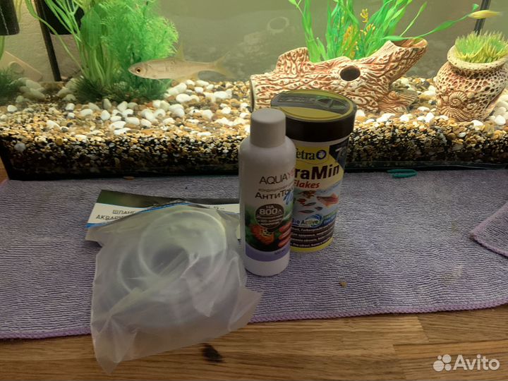 Нобор аквариум