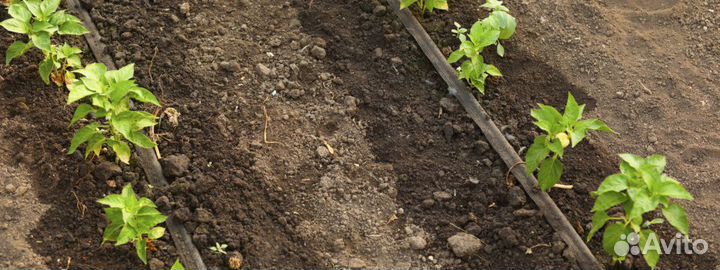 Капельная лента щелевая для полива растений