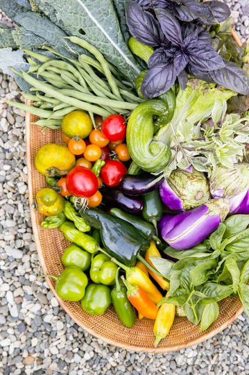 Перегной Конский. Доставка