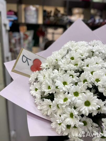 Букет 17 Белых хризантем с