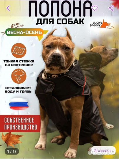 Попона куртка для собак